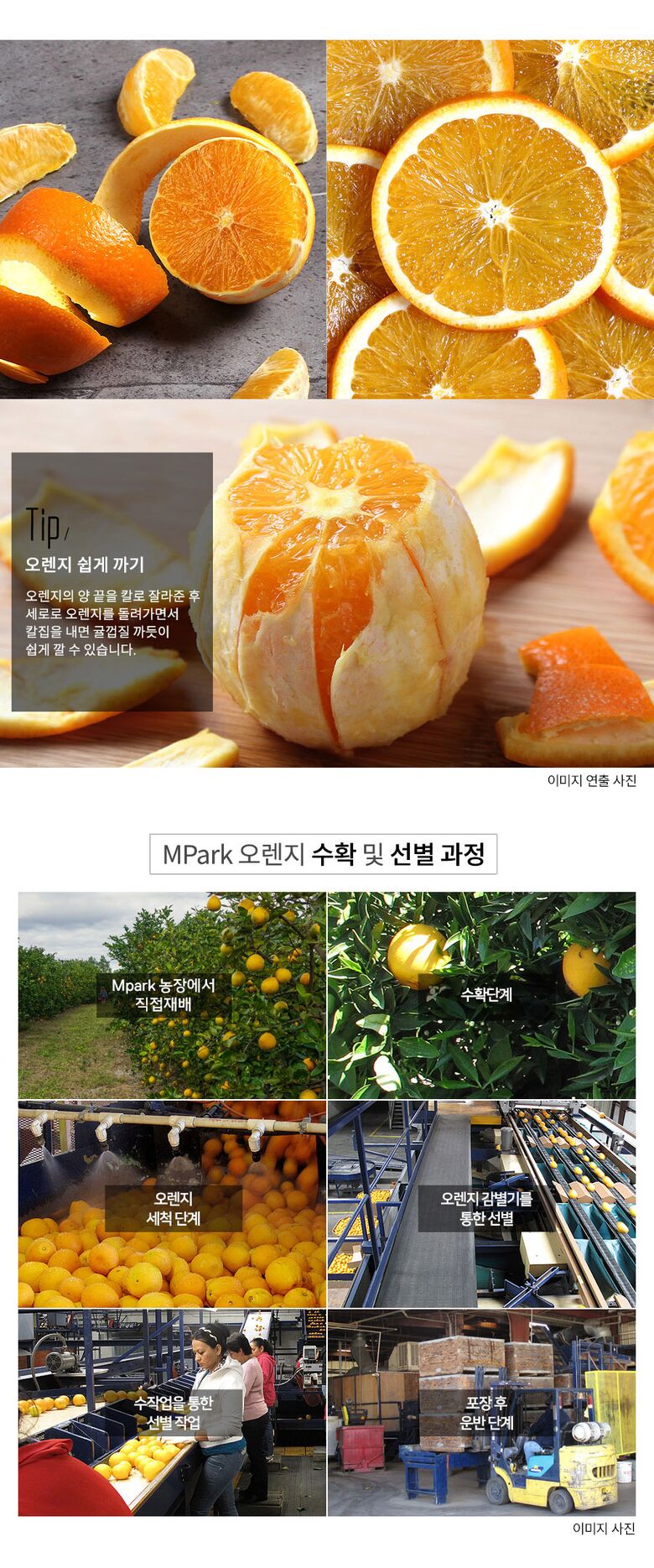 오렌지 웹기 2(연출예 표기)